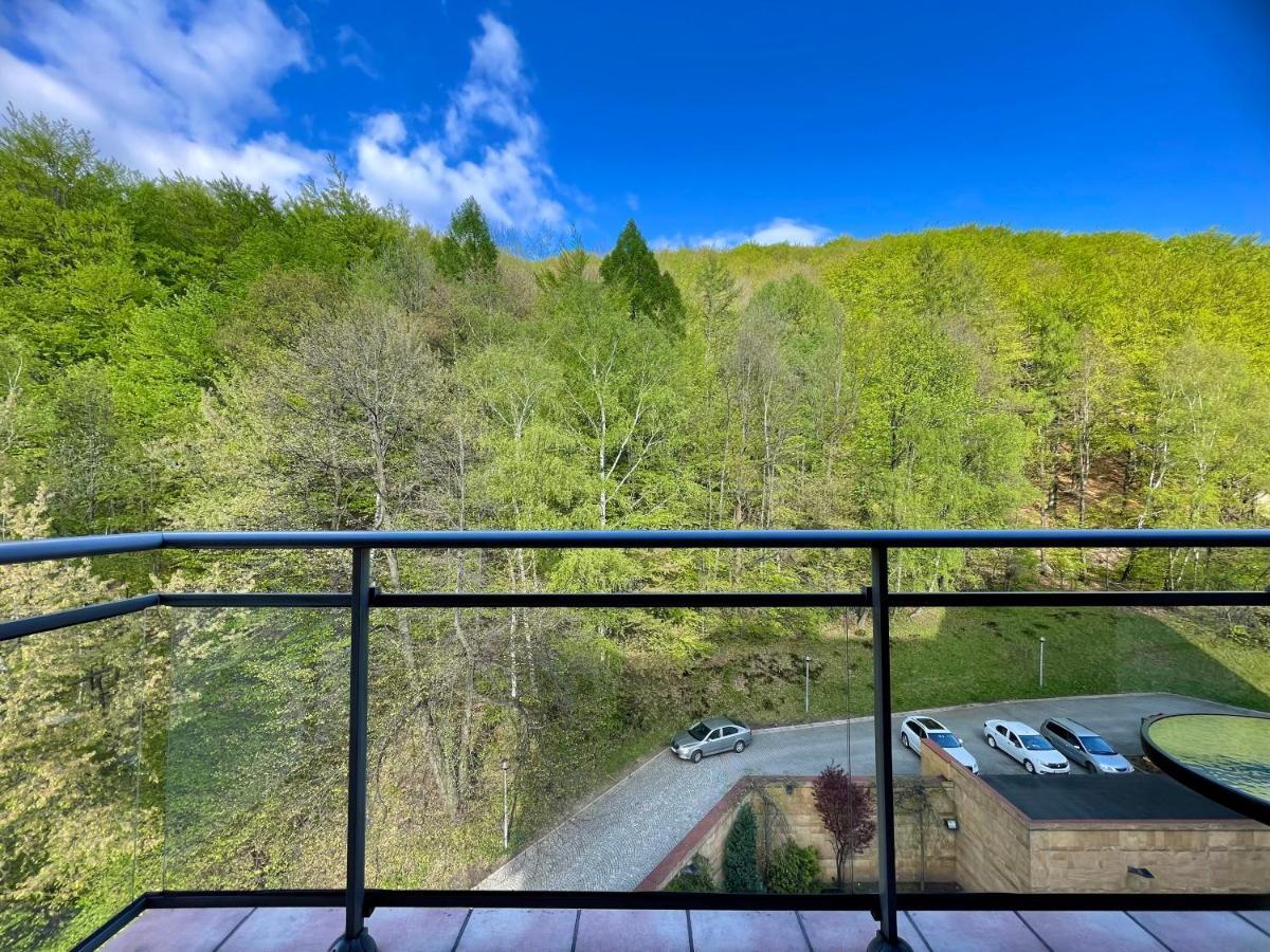 Hotel Belweder Ustron Luaran gambar View of the mountain from the hotel